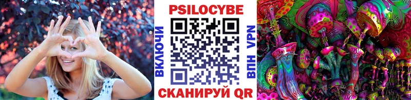 цена   Брюховецкая  Галлюциногенные грибы GOLDEN TEACHER 